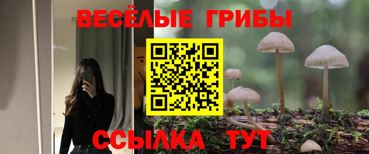 Псилоцибиновые грибы Cubensis Большой Камень