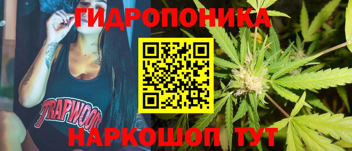 Бошки марихуана марихуана  Шишки марихуана Bruce Banner  Вход с VPN  Бошки Шишки конопля  Большой Камень  МАРИХУАНА конопля 